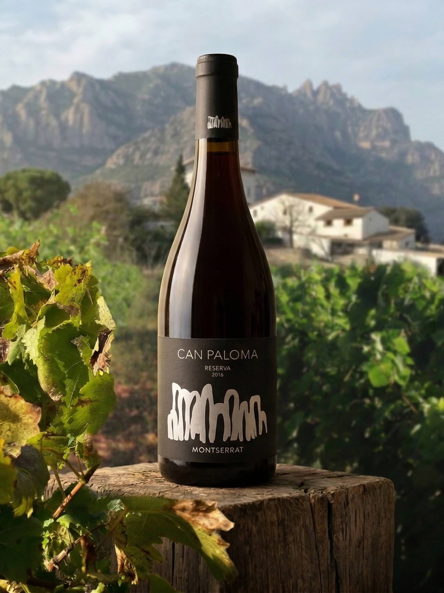 Can Paloma Reserva 2016