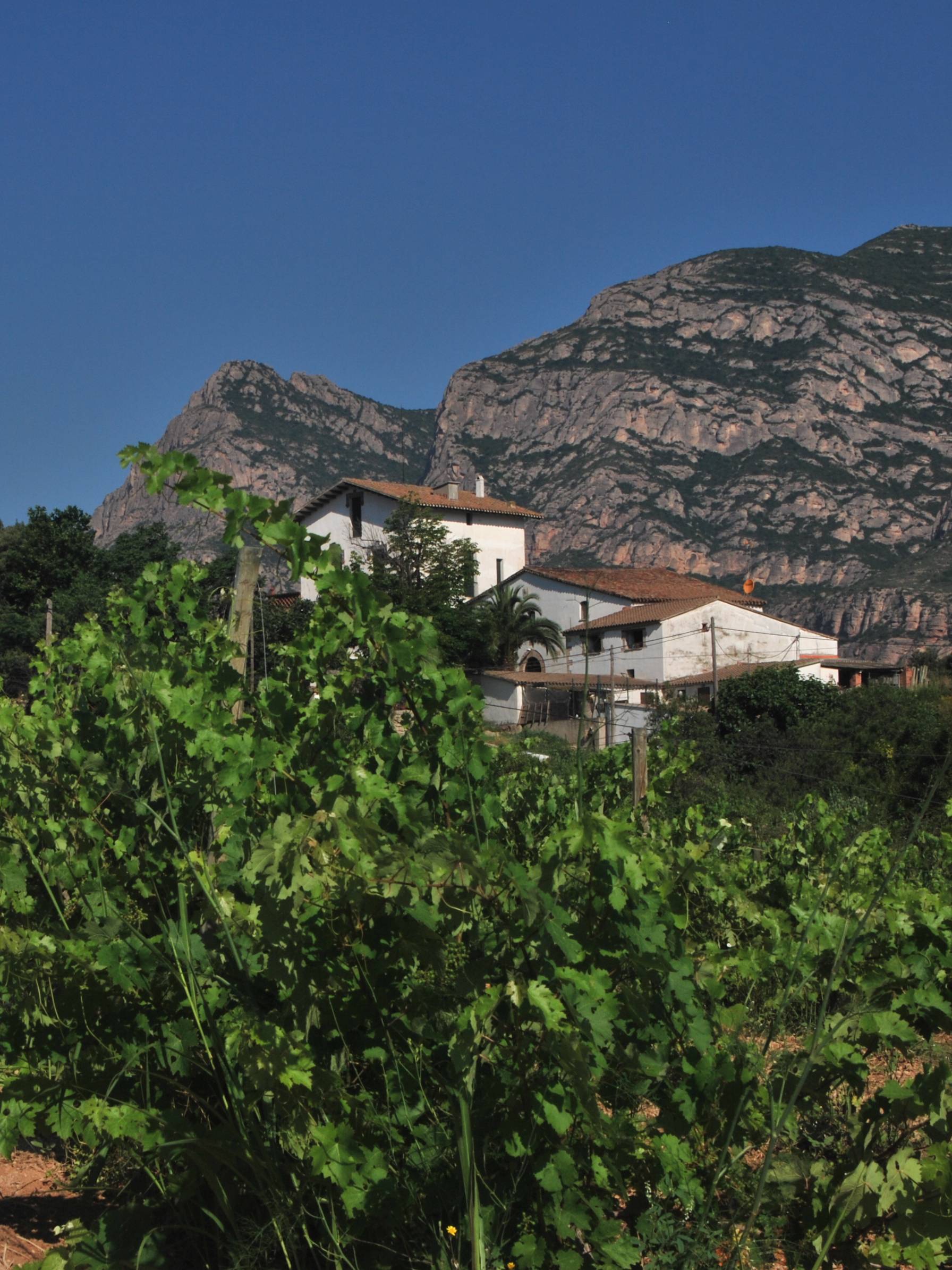 Masia de Can Paloma als peus de Montserrat